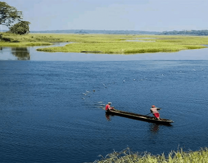 Le lit du fleuve Nyong et ses mangroves